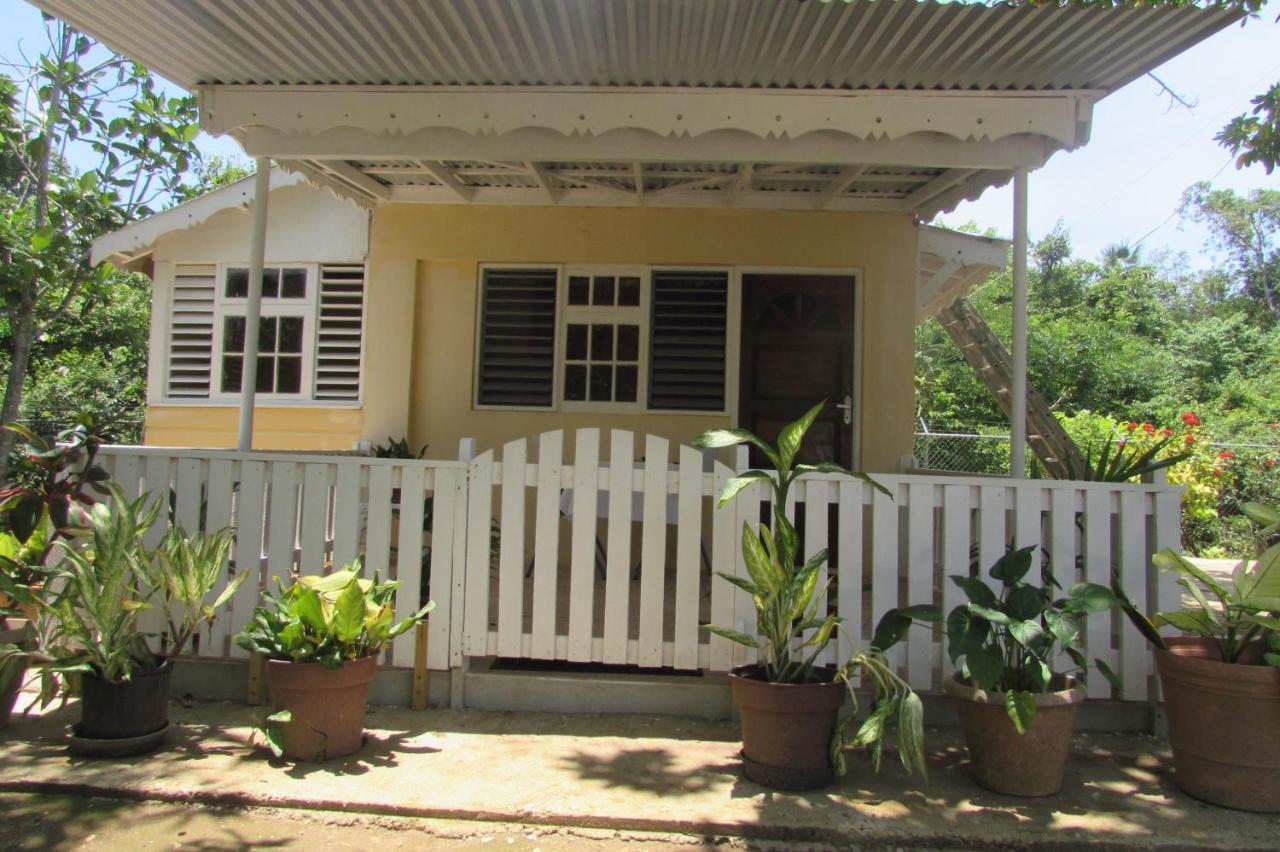 Nelsons Retreat Hotel Negril Exterior photo